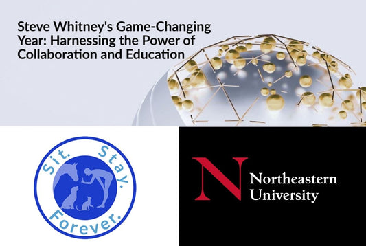 Northeastern University and Sit Stay Forever : A Game-Changing Partnership