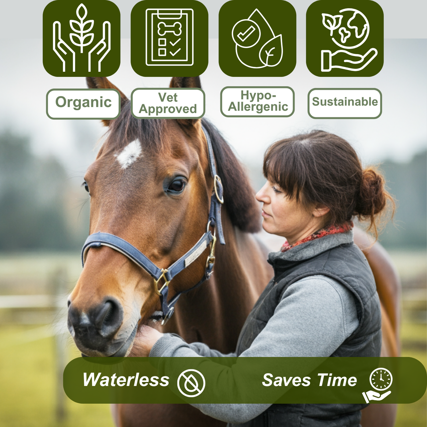 Dry Shampoo for Horses
