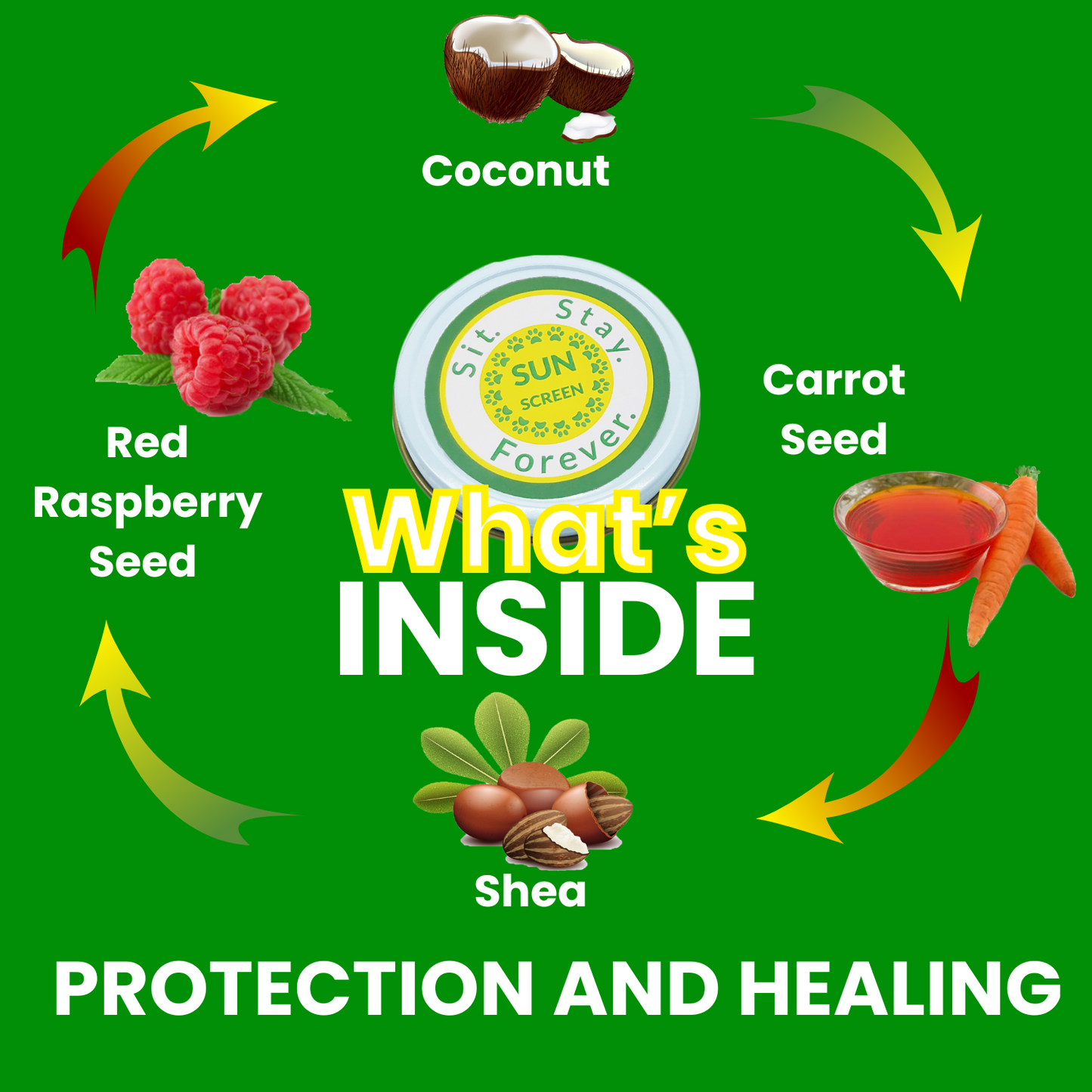 infographic showing the ingredients of Sit Stay Forever's sunscreen for dogs and cats. Green background with images of coconut, red raspberry, Carrot See and shea butter
