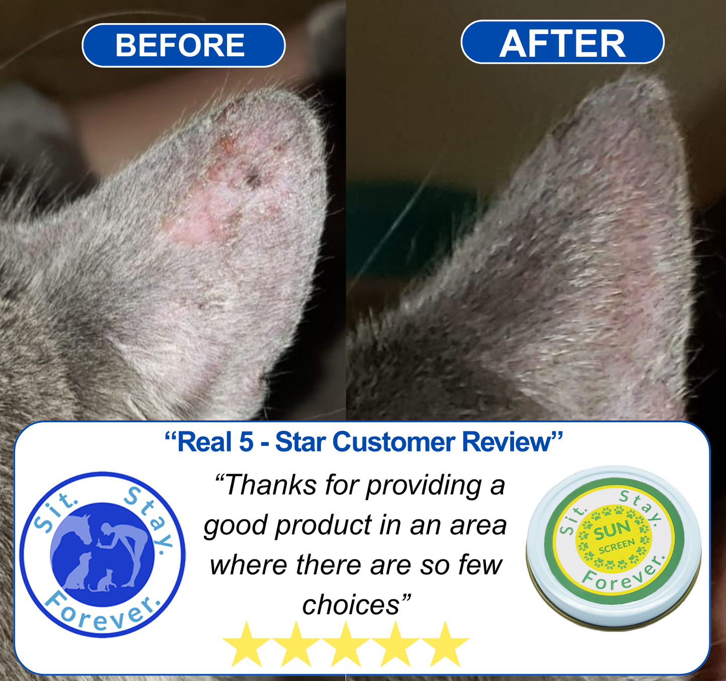 Product review of Sit Stay Forever sunscreen for dogs and cats with a before and after shot of a cats healed ear
