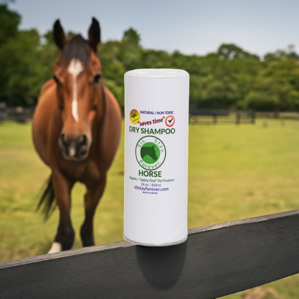 image of bay horse in green field with a tube of Sit Stay Forever Dry Powder Shampoo sitting on fence