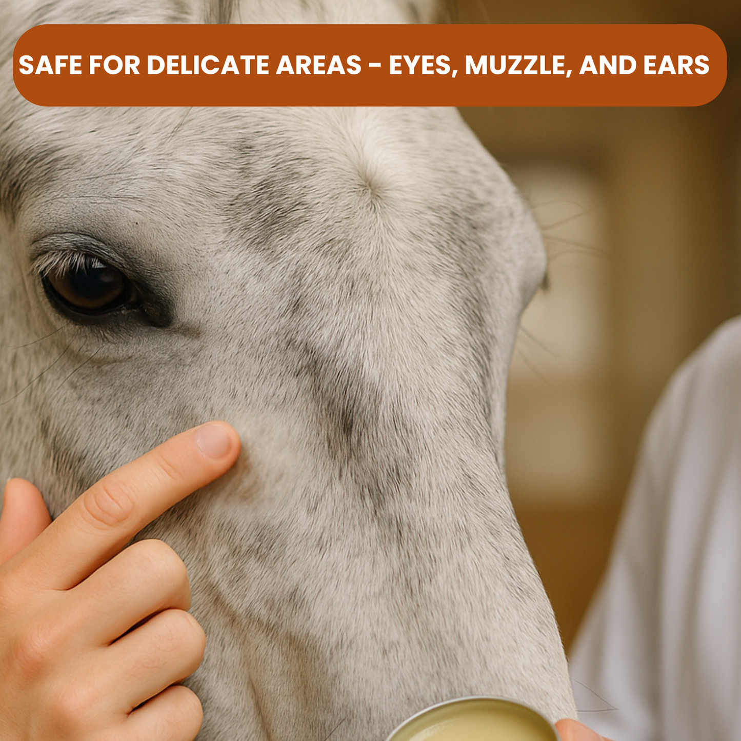Daily Care Balm for Horses