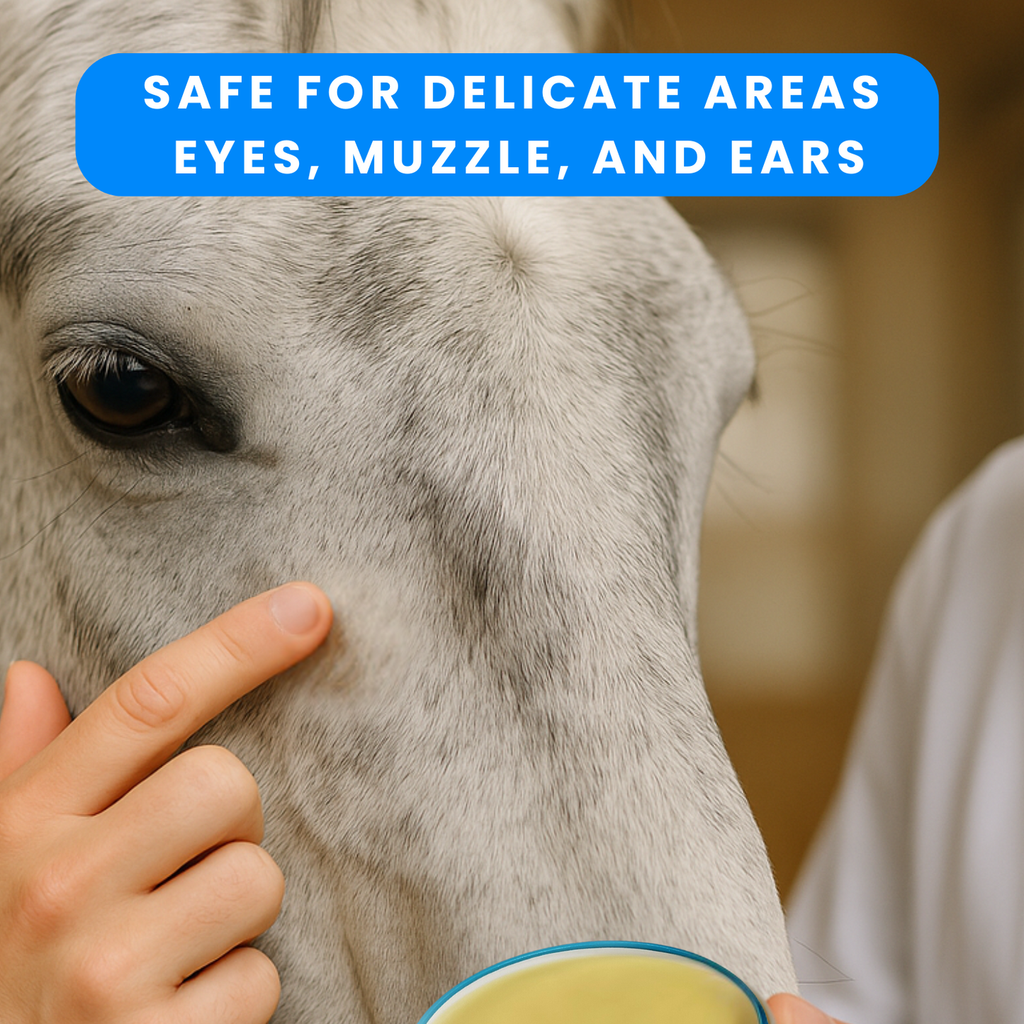 Daily Care Balm for Horses