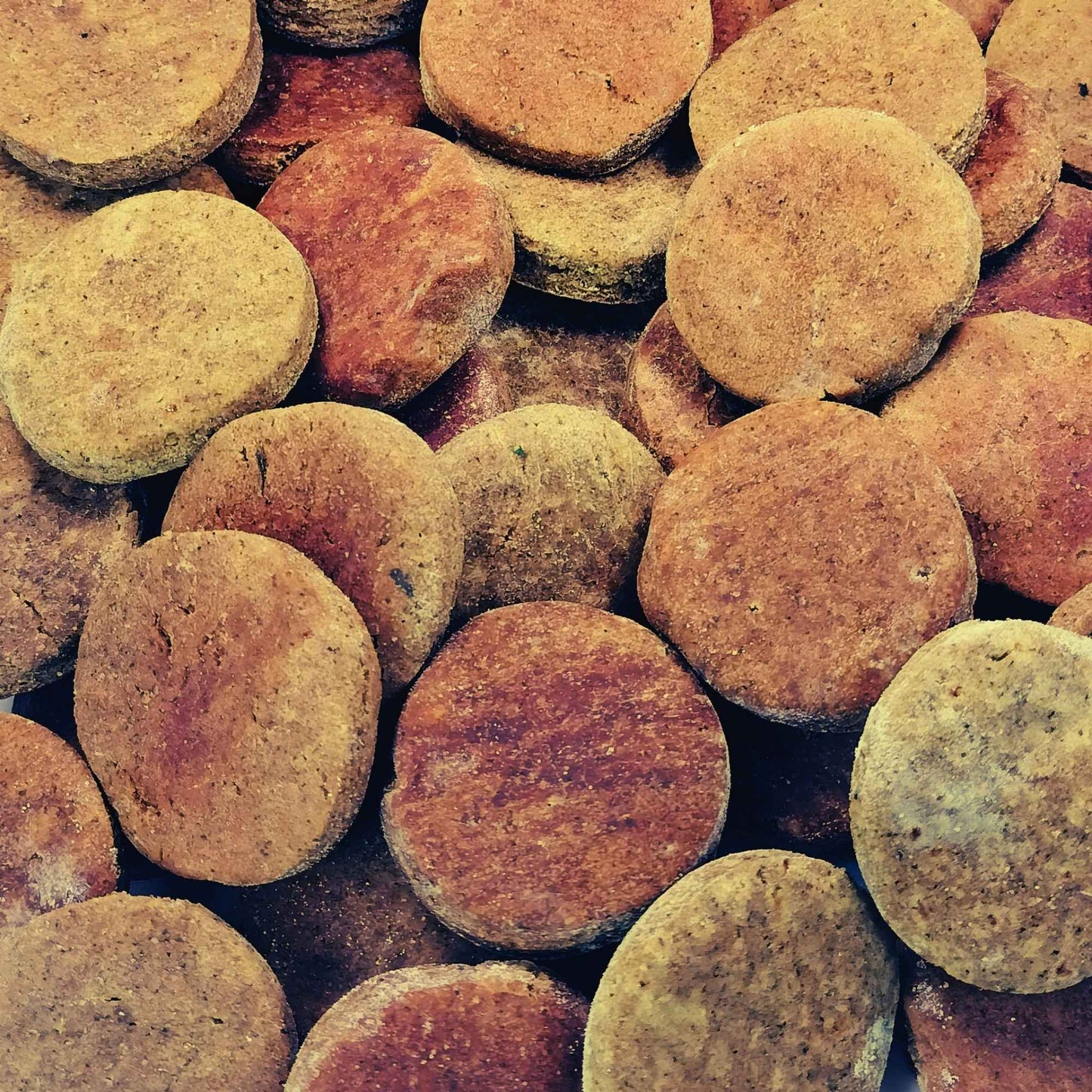 Close-up of round, brown pet treats with a blurred background