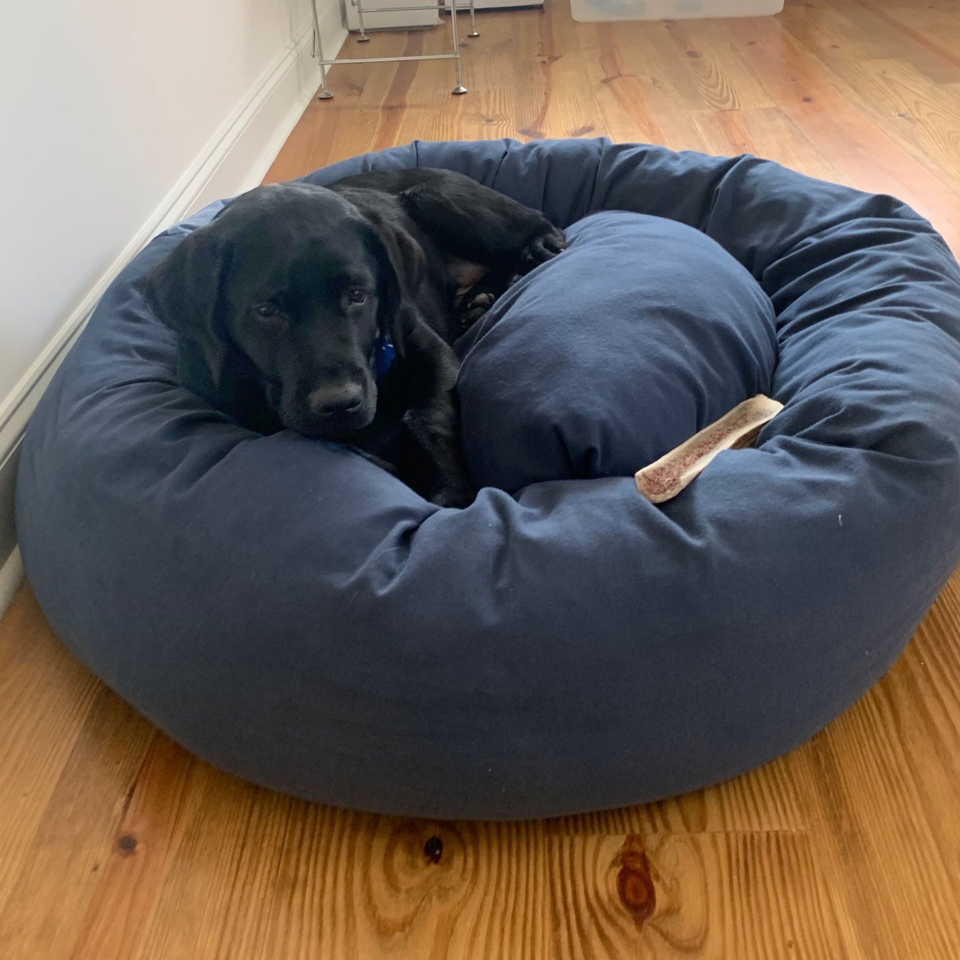organic dog bed in denim with black dog