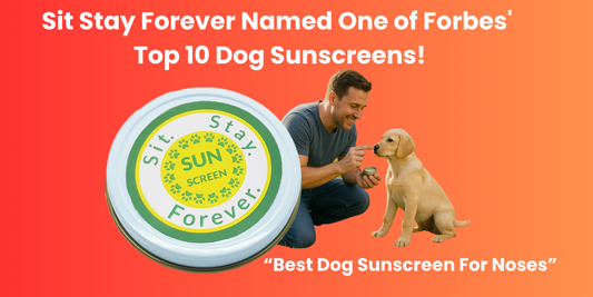 🐾 Sit Stay Forever Named One of Forbes' Top 10 Dog Sunscreens!
