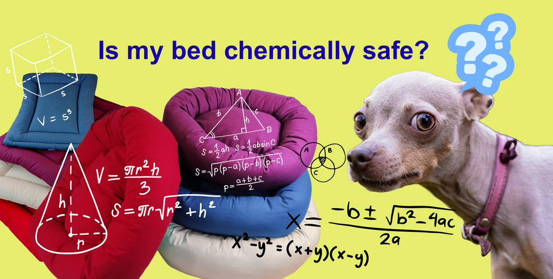 a chihuahua pondering the chemically safety of his dog bed with the text "is my bed chemically safe?