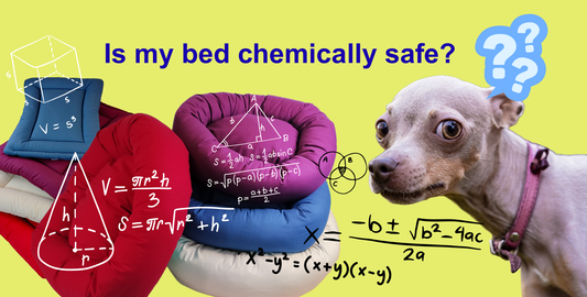a chihuahua pondering the chemically safety of his dog bed with the text "is my bed chemically safe?