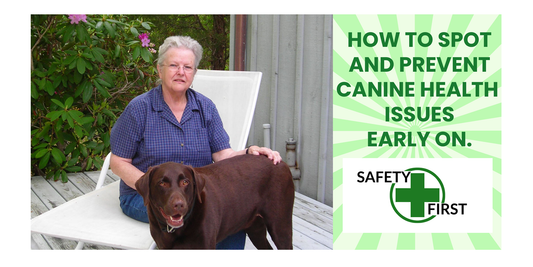 How to Spot and Prevent Canine Health Issues Early