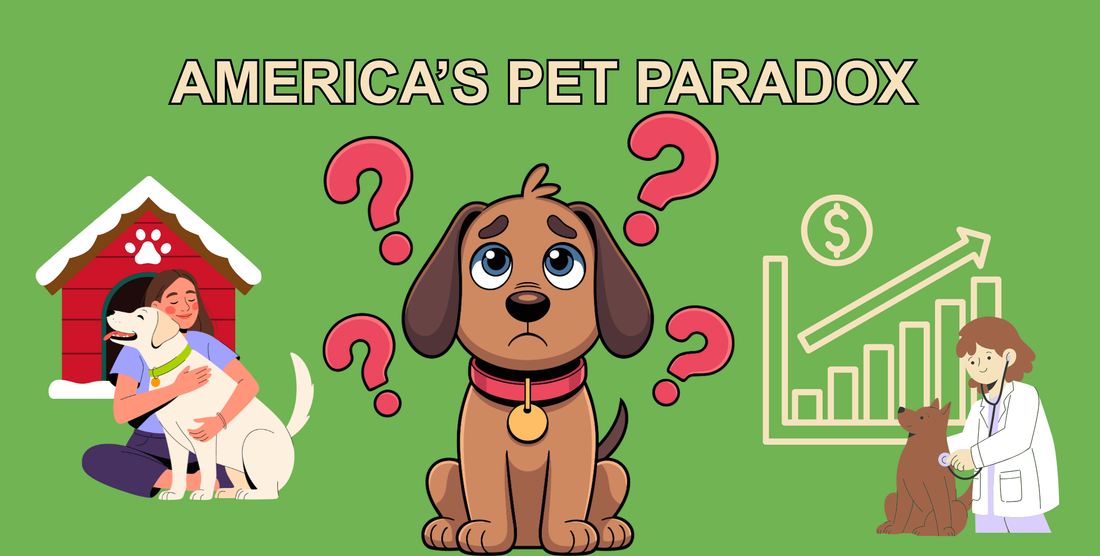 banner image green back ground with worried pup and the copy "America's Pet Paradox"