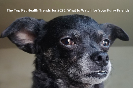 The Top Pet Health Trends for 2025: What to Watch for Your Furry Friends