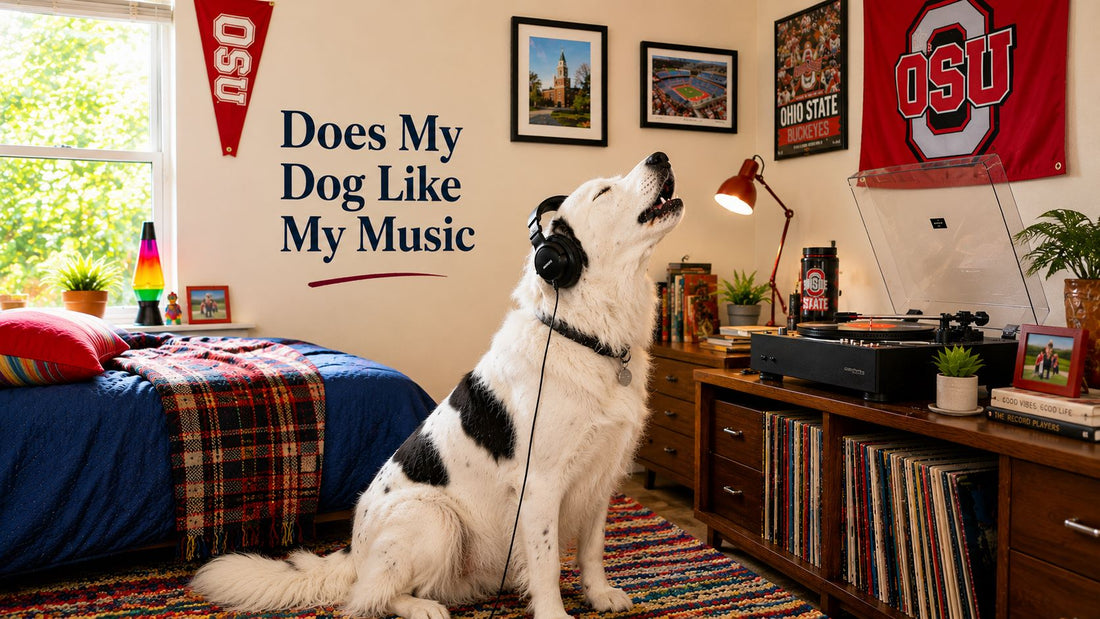 dog with head phone on in a college dorm howling to the record player