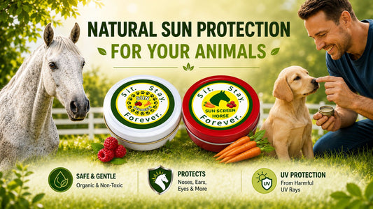dog, cat and horse sunscreen by sit stayforever image with carrot and raspberry