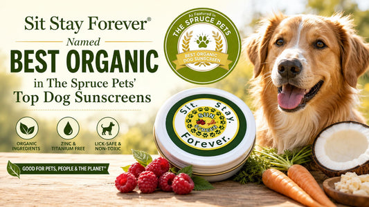  Sit Stay Forever organic dog sunscreen, named Best Organic by The Spruce Pets