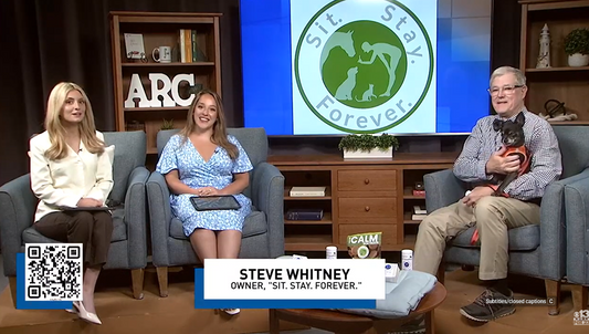 Sit Stay Forever on TV Morning Show- WGME Channel 13 Portland Maine