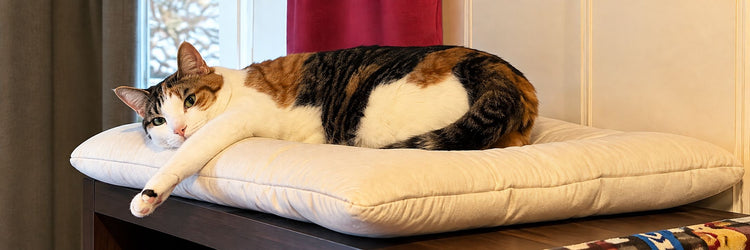 Organic Cotton Square Cat Bed
