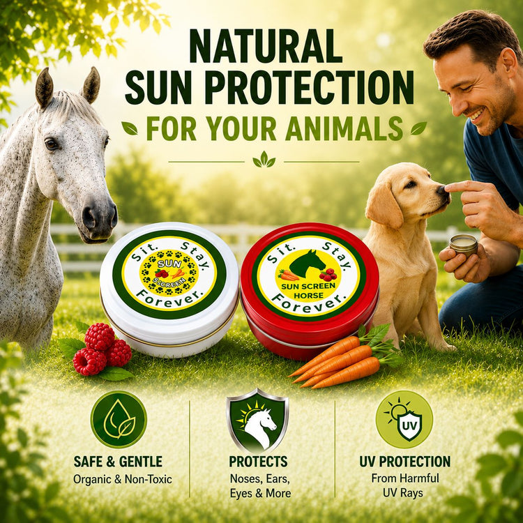 info graphic for sit stay forever sunscreen for dogs, cats and horses showing the benefits and features