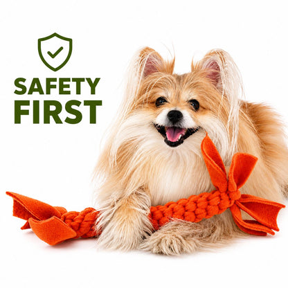Dog with an orange Sit Stay Forever Braided toy and 'Safety First' text on a white background