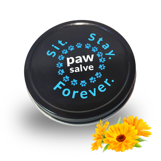 Organic Paw Salve for Dogs & Cats – All-Season Moisturizing Balm (2 oz)