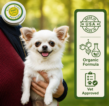 Organic Zinc-Free Sunscreen & Moisturizer for Dogs & Cats – 2 oz | Made in Maine