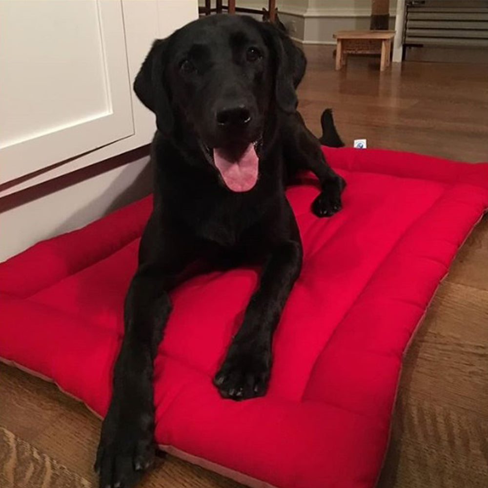 Organic Cotton  Square Dog Bed