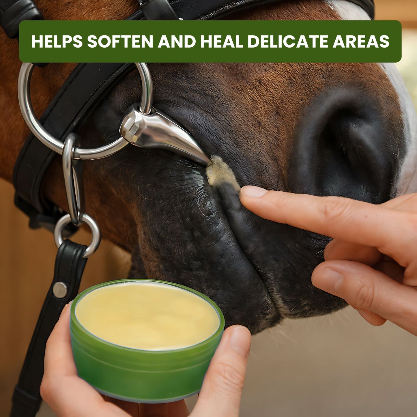 Natural Horse Balm for Skin, Hooves & Sweet Itch Relief — Neem Oil, Calendula, Lanolin & Hemp | Daily Care Balm - Sit Stay Forever