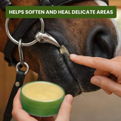 Natural Horse Balm for Skin, Hooves & Sweet Itch Relief — Neem Oil, Calendula, Lanolin & Hemp | Daily Care Balm - Sit Stay Forever