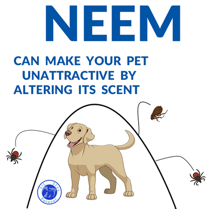 Illustration with text: "NEEM can make your pet unattractive by altering its scent," featuring a dog and the Sit.Stay.Forever. logo, with images of ticks and fleas around.