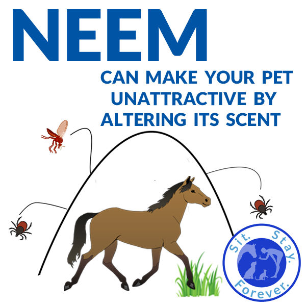 Illustration with text: "NEEM can make your pet unattractive by altering its scent," featuring a horse and the Sit.Stay.Forever. logo, with images of flies and ticks around.