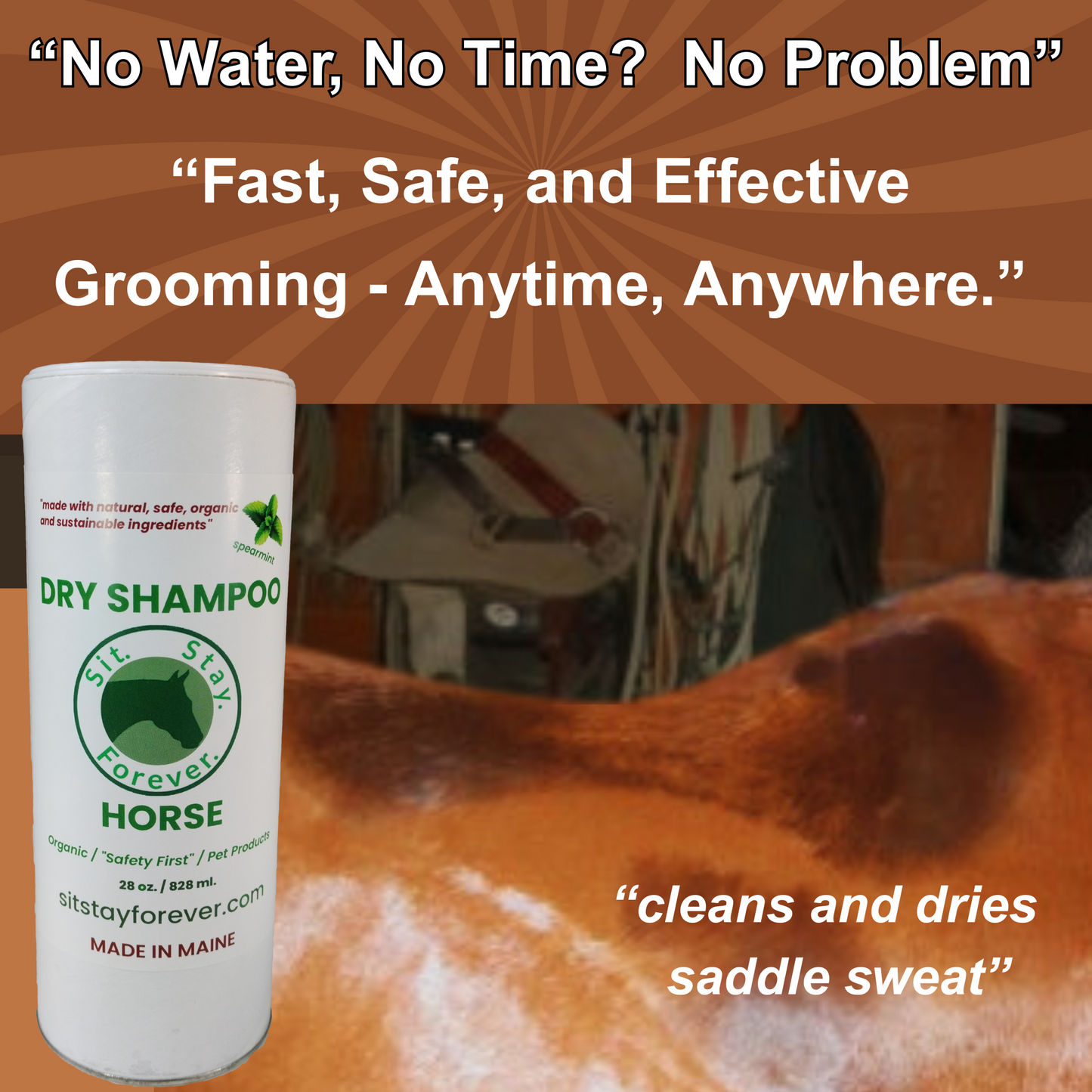 Dry Shampoo for Horses