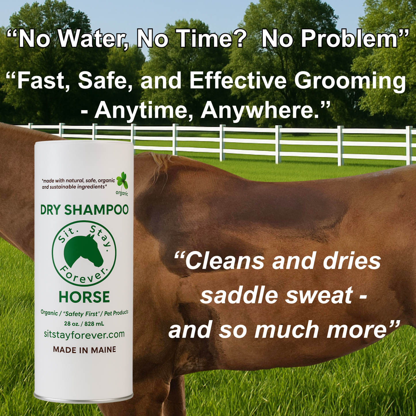 Dry Shampoo for Horses