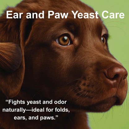 Close-up of a brown dog's face with text about ear and paw yeast care on a green background