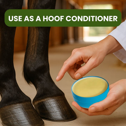 Daily Care Balm for Horses