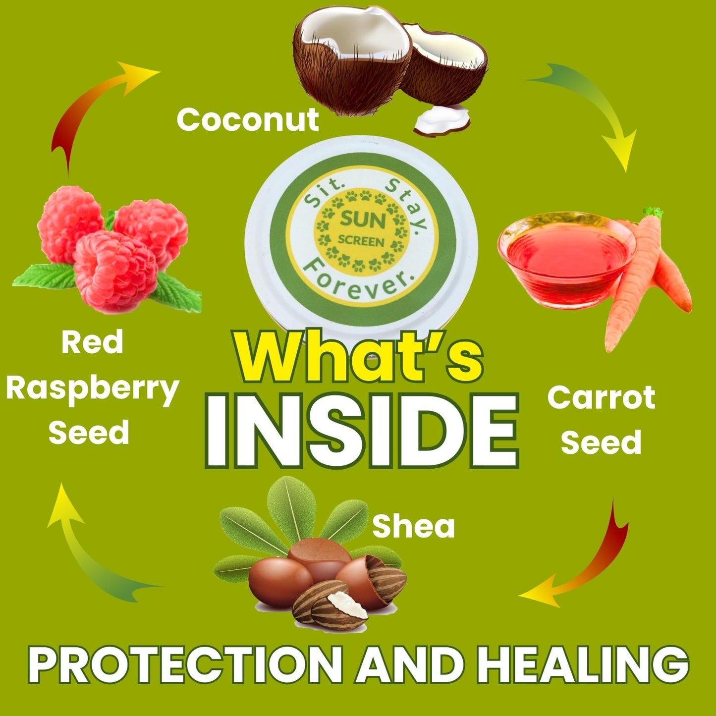 Organic Zinc-Free Sunscreen & Moisturizer for Dogs & Cats – 2 oz | Made in Maine