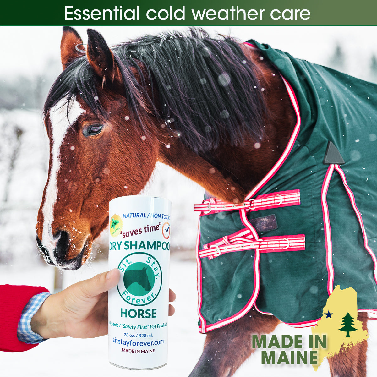 Dry Shampoo for Horses