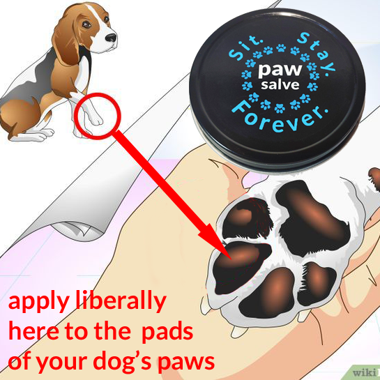 Paw Salve for Dog & Cats