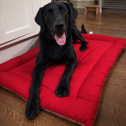 Organic Cotton  Square Dog Bed