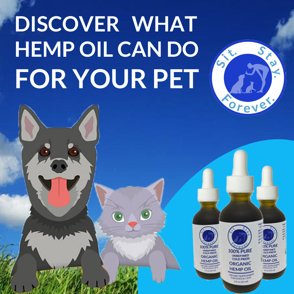 Promotional image for "Sit. Stay. Forever." organic hemp oil for pets. The image features a cartoon dog and cat, three bottles of the hemp oil, and the text "DISCOVER WHAT HEMP OIL CAN DO FOR YOUR PET" against a blue sky background. The product logo is in the top right corner.