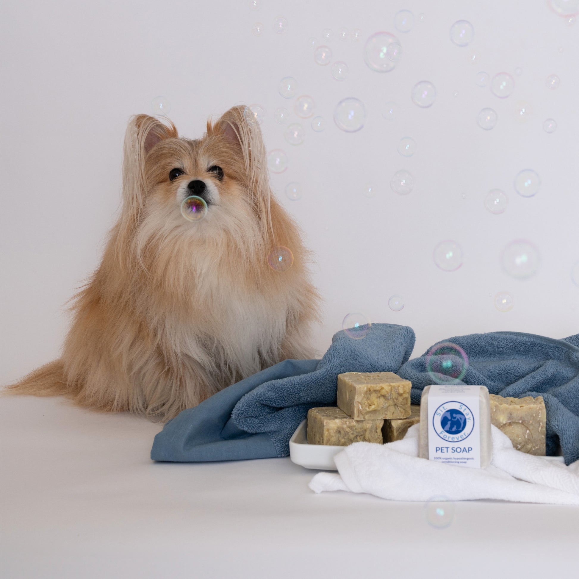  A small fluffy dog surrounded by bubbles, sitting next to a stack of Sit.Stay.Forever pet soap bars and blue and white towels.