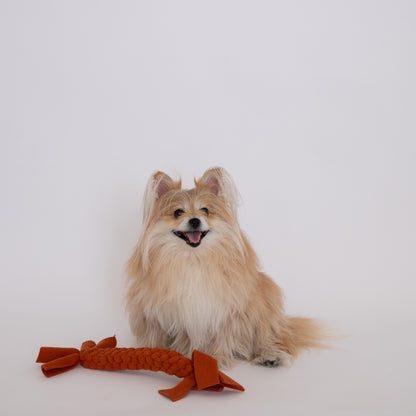 Pomeranian dog smiling with a Orange Non-Toxic Braided Dog Toy.