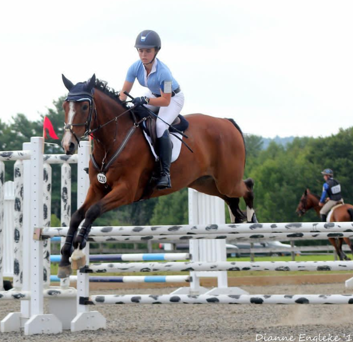 An equestrian rider on a horse mid-jump during a competition, showcasing a moment of focus and skill.