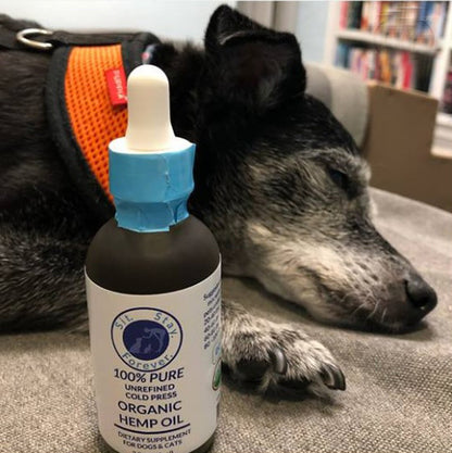 2 fl oz (62 ml) of 100% Pure Unrefined Cold Press Organic Hemp Oil. The label has the Sit.Stay.Forever. logo and indicates that this product is a dietary supplement for dogs and cats. The bottle has a white dropper cap for easy dispensing. A dog sleeping is shown in the background.