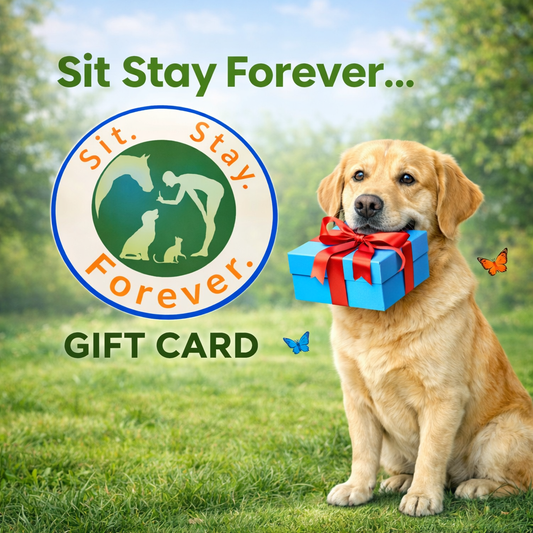 Sit Stay Forever Gift Card