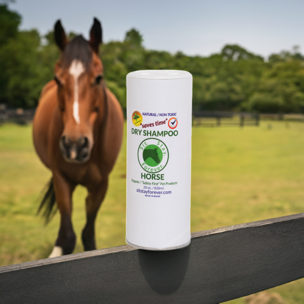 Dry Shampoo for Horses