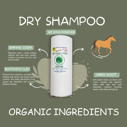 Dry Shampoo for Horses