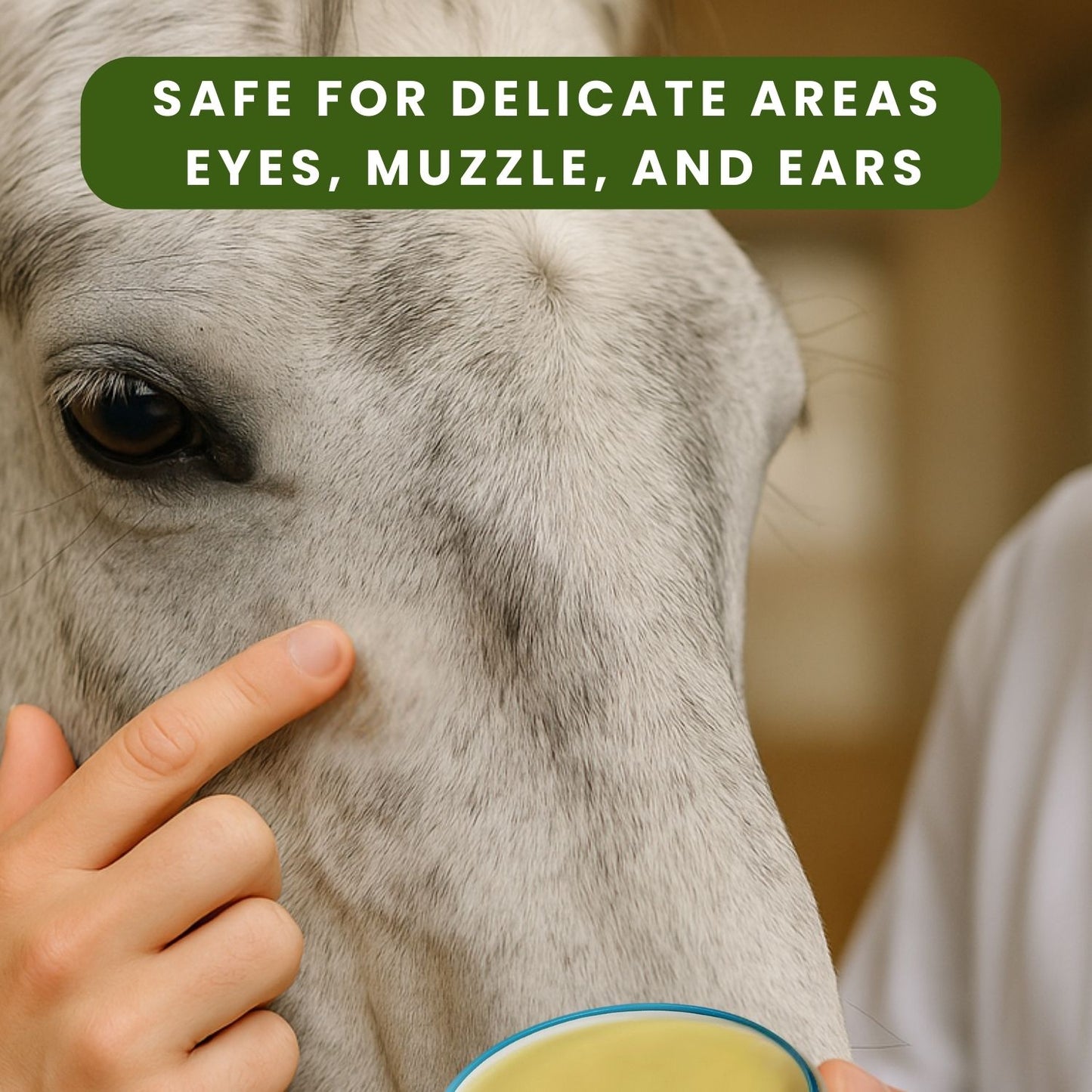 Daily Care Balm for Horses