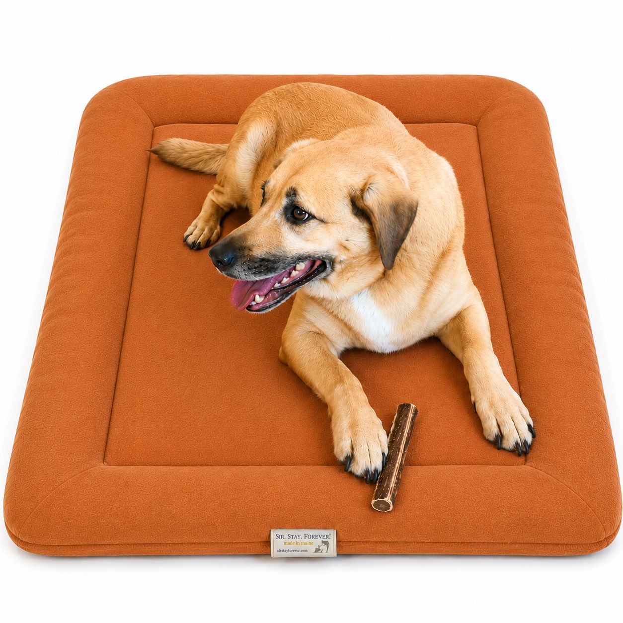 Dog lying on a Sit Stay Forever square dog bed with a  chew bone next to it on a white background