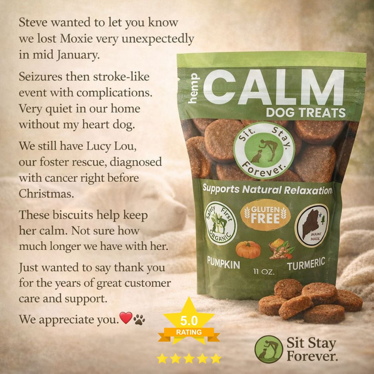 Bag of Calm Dog Treats with a heartfelt message about a lost pet and a foster dog.