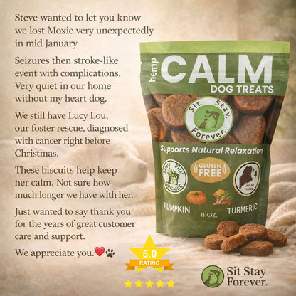 Bag of Calm Dog Treats with a heartfelt message about a lost pet and a foster dog.