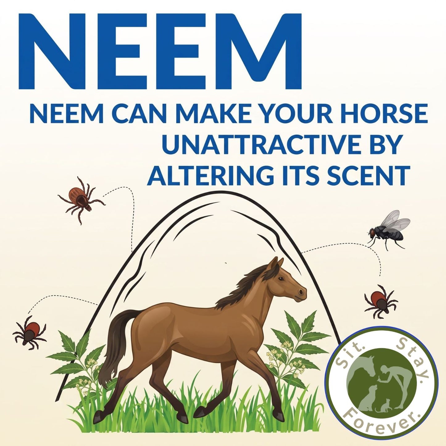 Organic Horse Fly Spray | Natural Fly Repellent for Horses | Sit Stay Forever.
